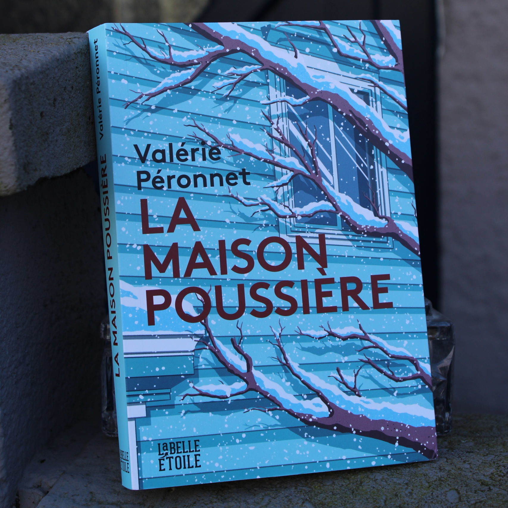 La maison poussière main image 1